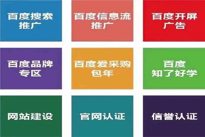 sem代运营机构经典案例：提升广告投放效果